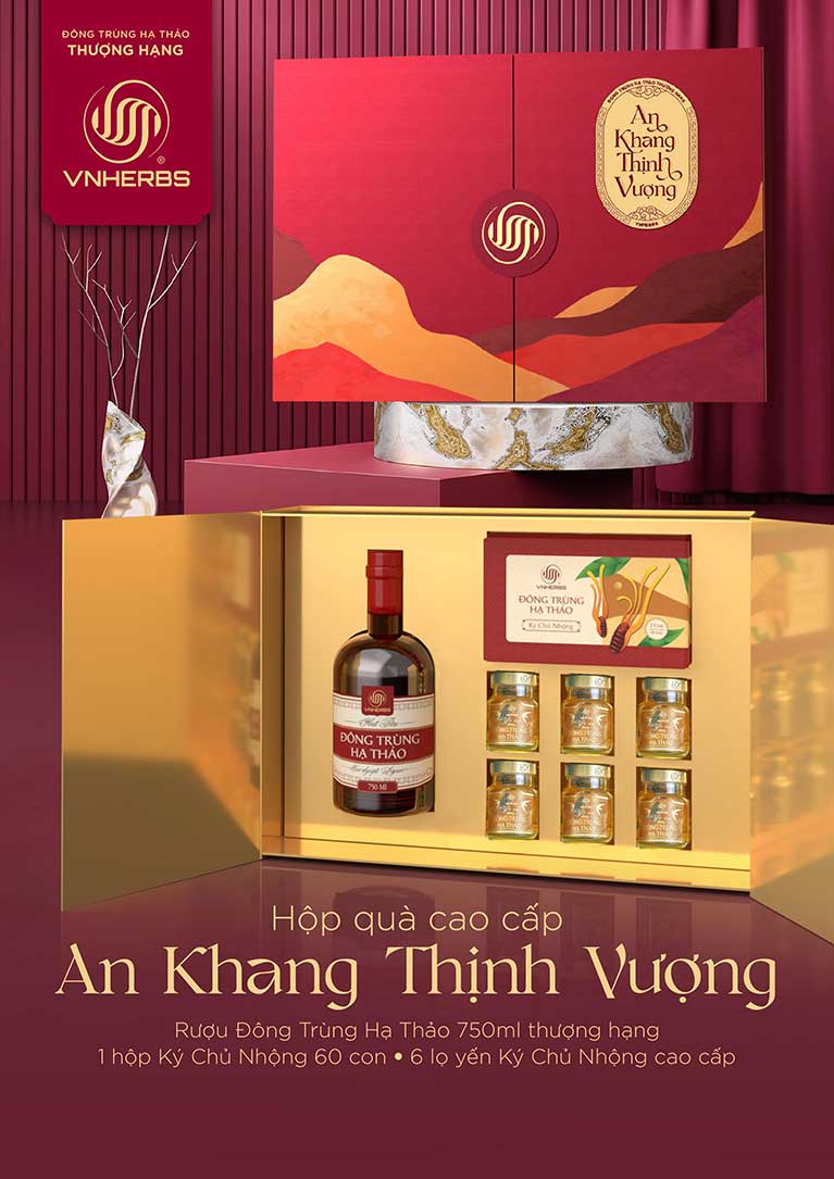 hộp quà tết An Khang Thịnh Vượng DTHT VnHerbs