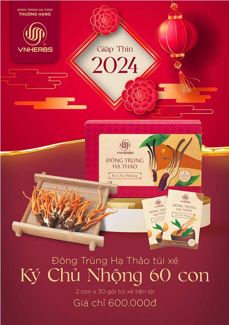 Ký Chủ Nhộng 60 Con