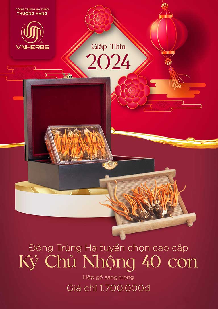 Ký Chủ Nhộng 40 con